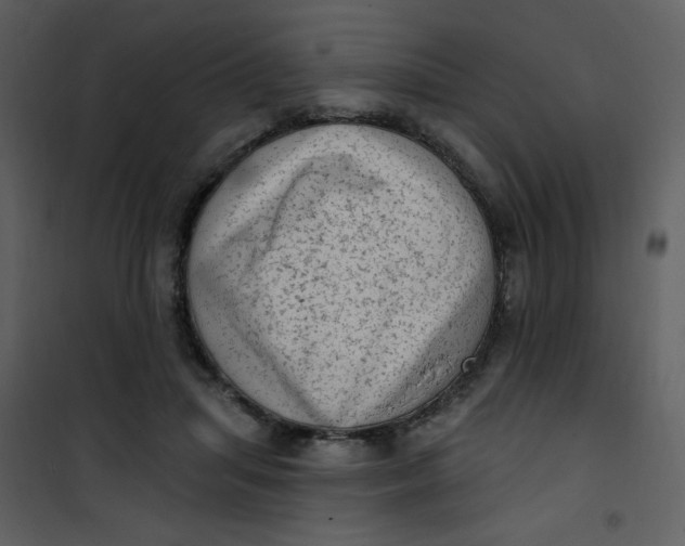 X0000101150455200807181338