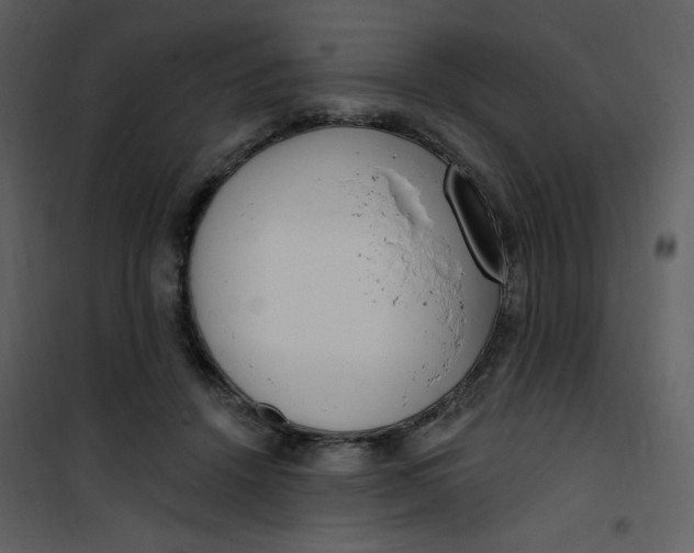 X0000101150456200807181338