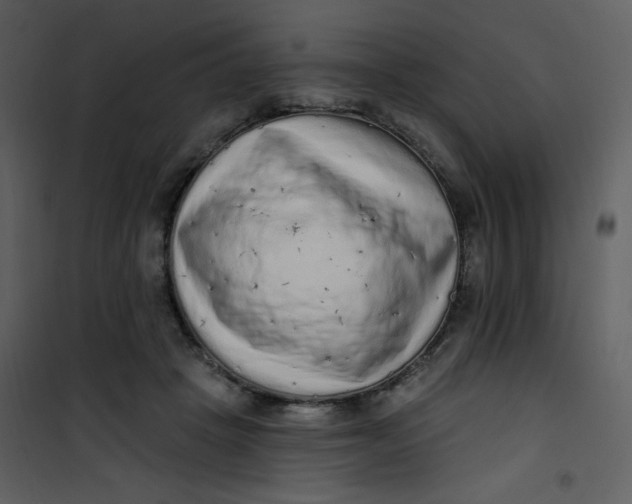 X0000101150457200807181338