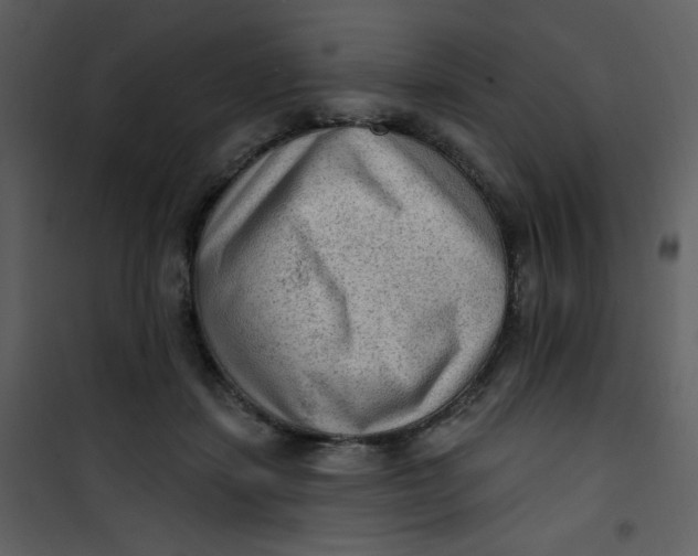 X0000101150459200807181338