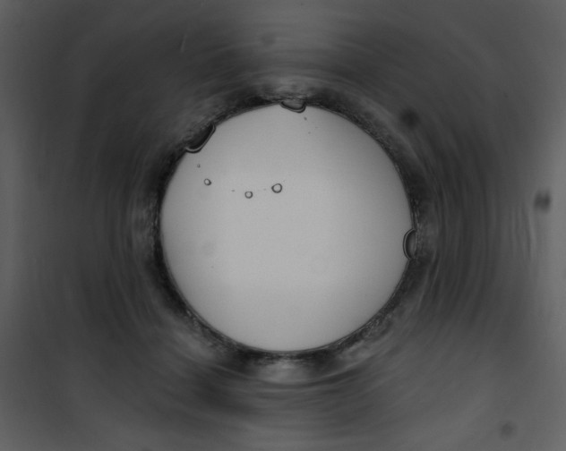 X0000101150460200807181338