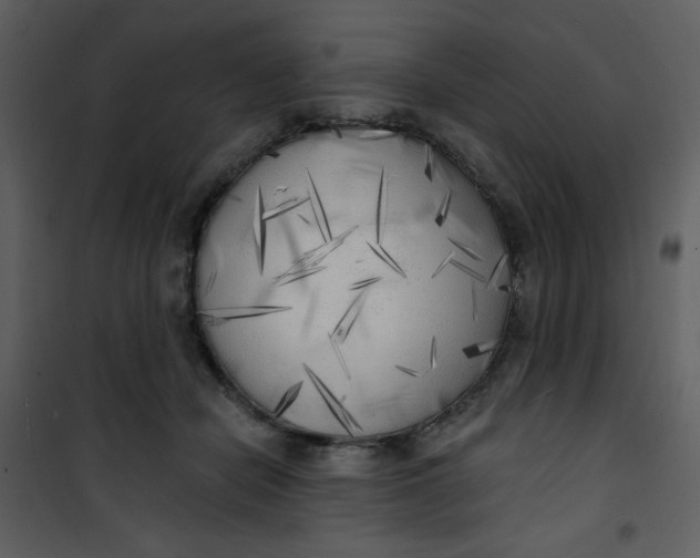 X0000101150462200807181338