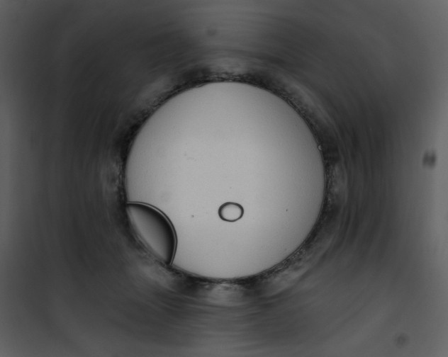 X0000101150463200807181338