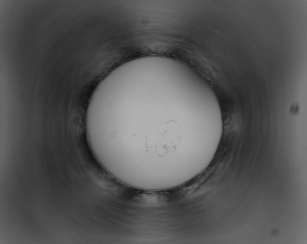 X0000101150464200807181338