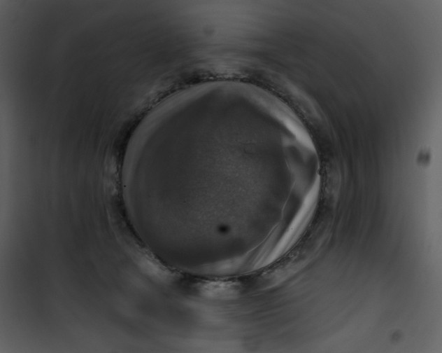 X0000101150465200807181338