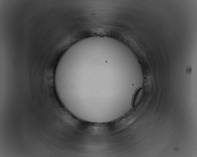 X0000101150466200807181338