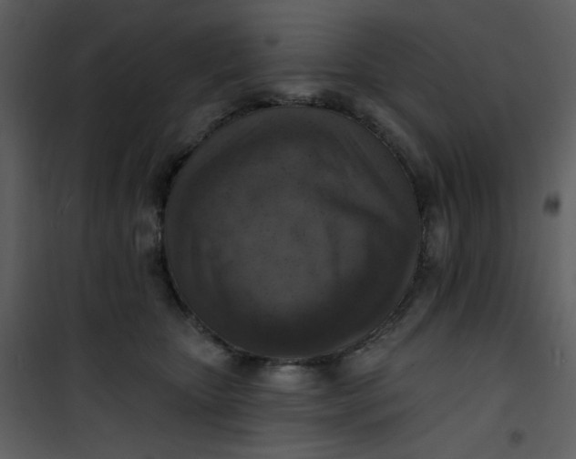 X0000101150467200807181338