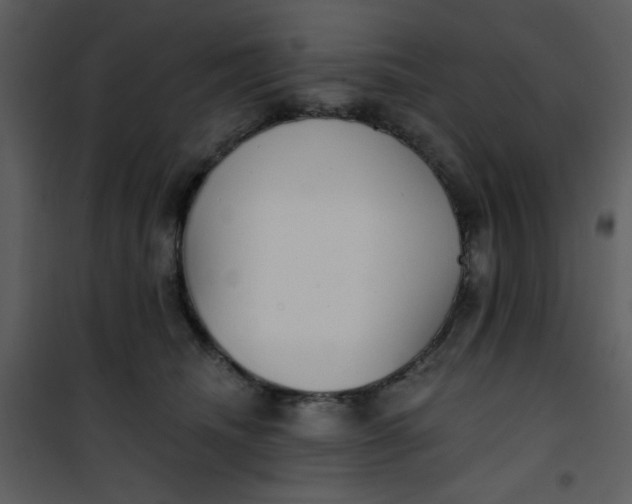 X0000101150468200807181338