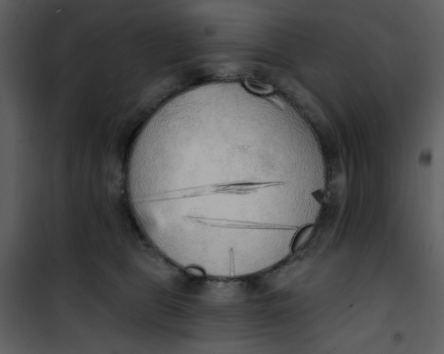 X0000101150469200807181338