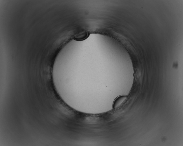 X0000101150470200807181338