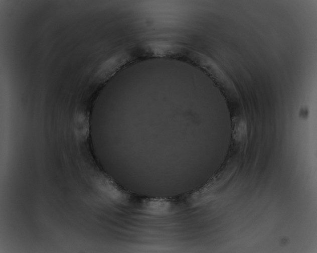 X0000101150471200807181339