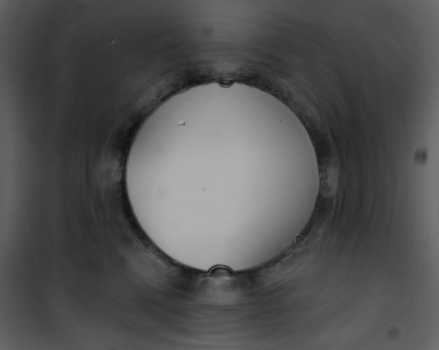 X0000101150472200807181339