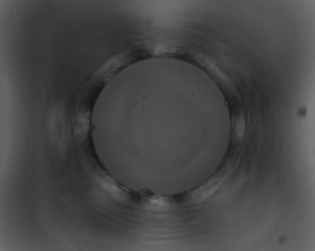 X0000101150475200807181339