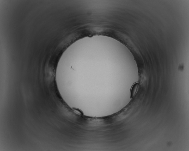 X0000101150476200807181339