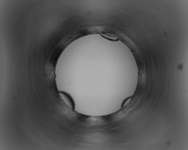 X0000101150477200807181339