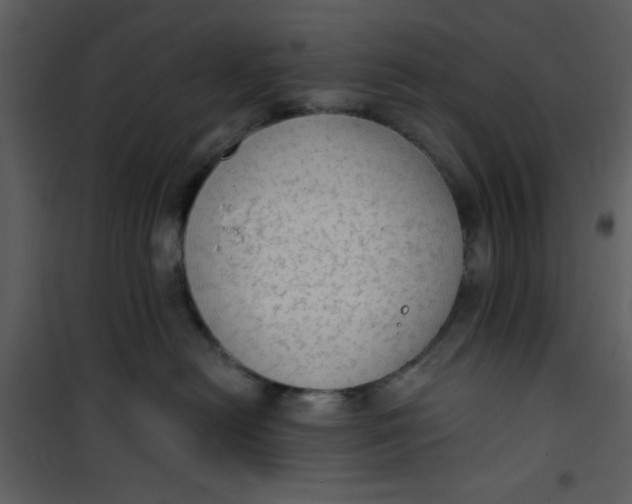 X0000101150478200807181339