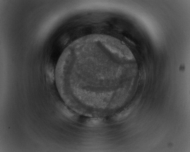 X0000101150479200807181339