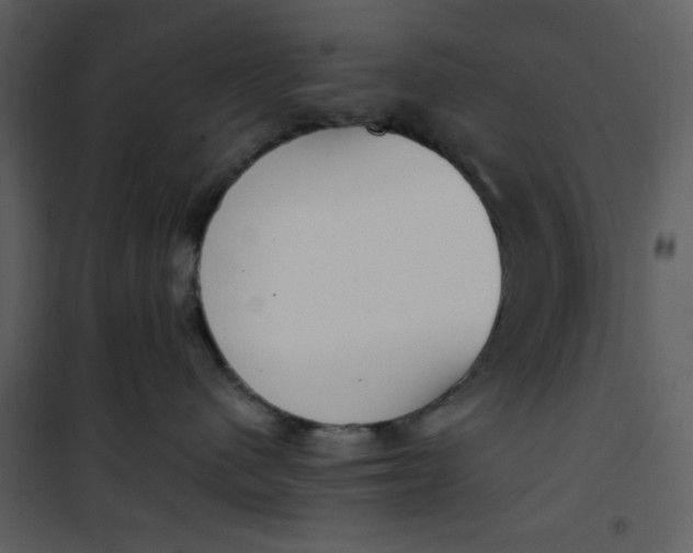 X0000101150480200807181339