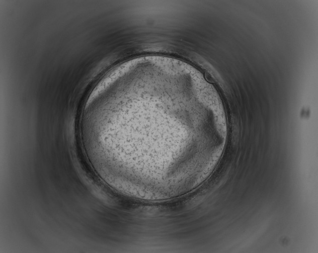 X0000101150482200807181338