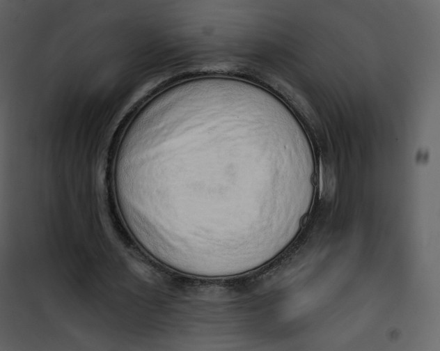 X0000101150483200807181338