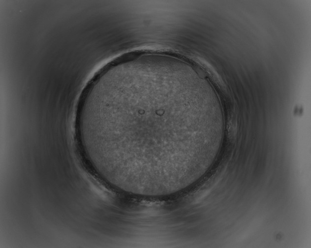 X0000101150484200807181338