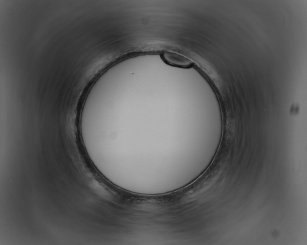 X0000101150485200807181338