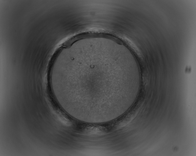 X0000101150488200807181338