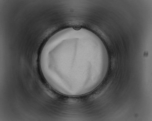 X0000101150490200807181338