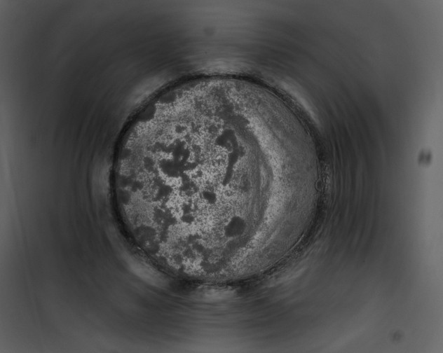 X0000101150491200807181338