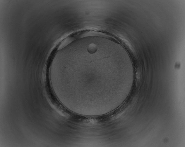 X0000101150492200807181338