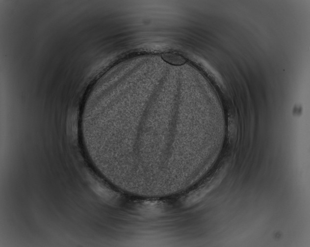 X0000101150493200807181338