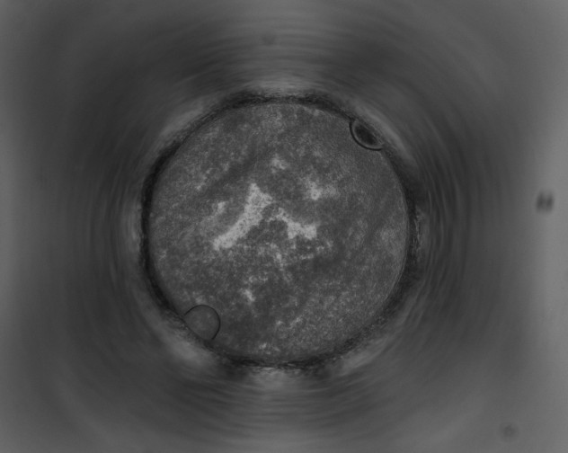 X0000101150494200807181338