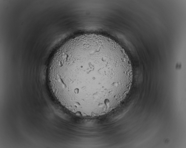 X0000101150495200807181338