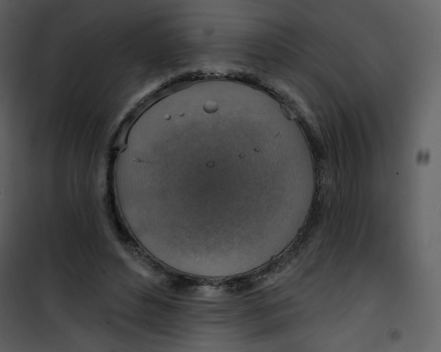 X0000101150496200807181338