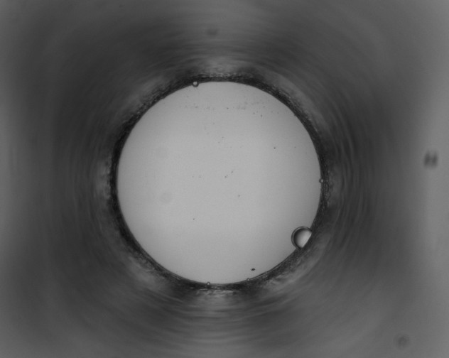 X0000101150497200807181338