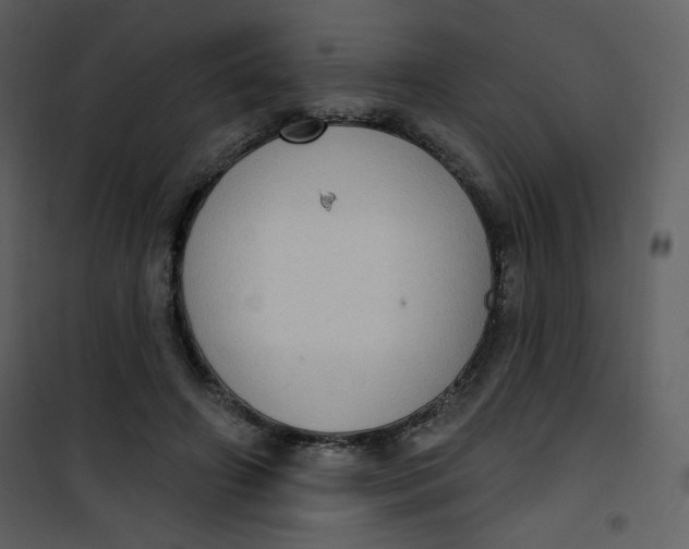 X0000101150498200807181338