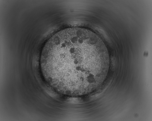 X0000101150499200807181338