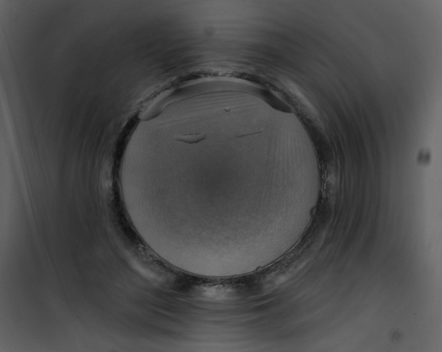 X0000101150500200807181338