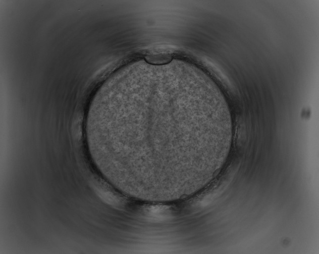 X0000101150501200807181337