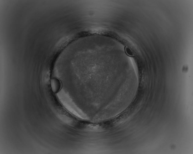 X0000101150502200807181337