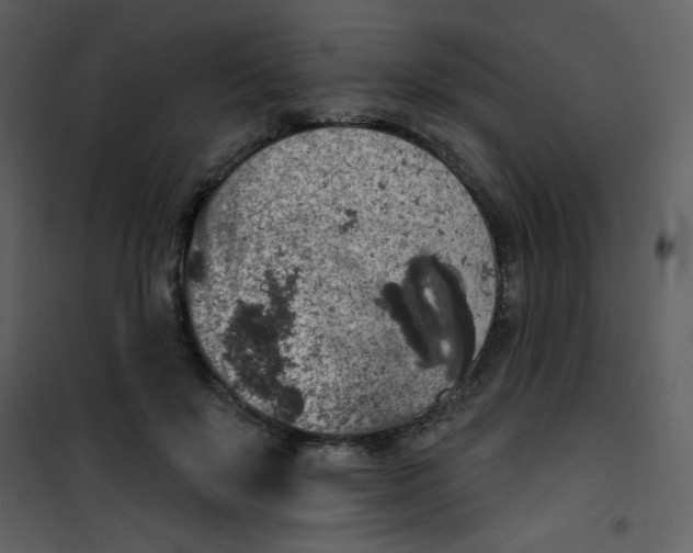 X0000101150503200807181337