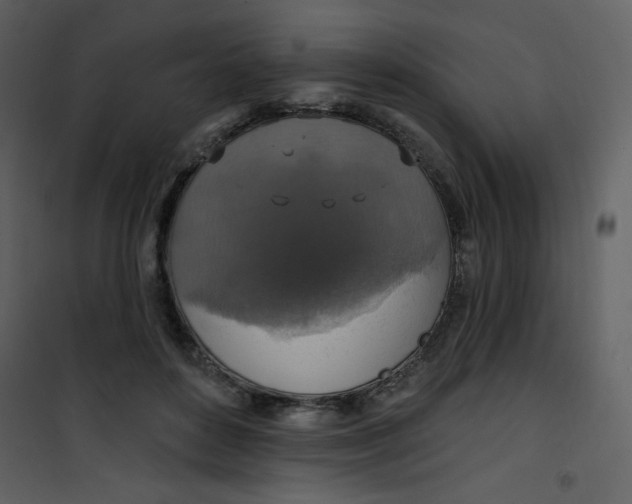 X0000101150504200807181337