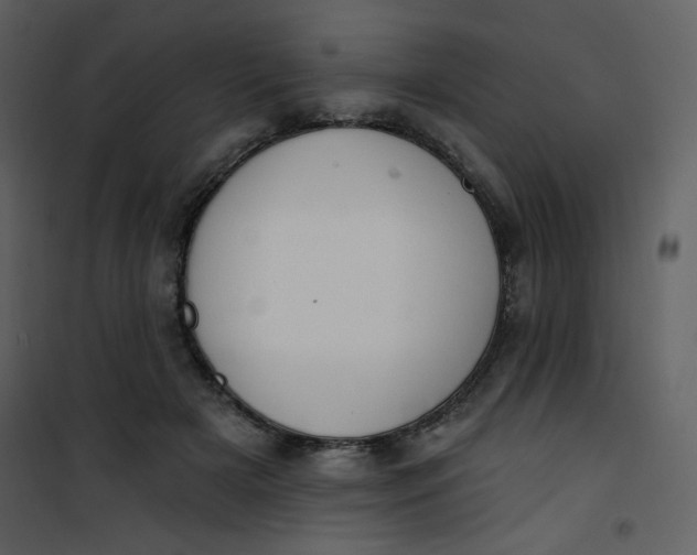 X0000101150505200807181337