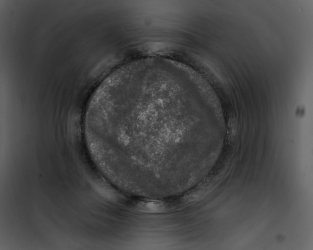 X0000101150506200807181337