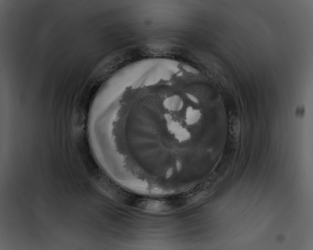 X0000101150507200807181337