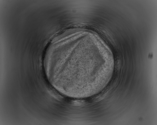 X0000101150508200807181337