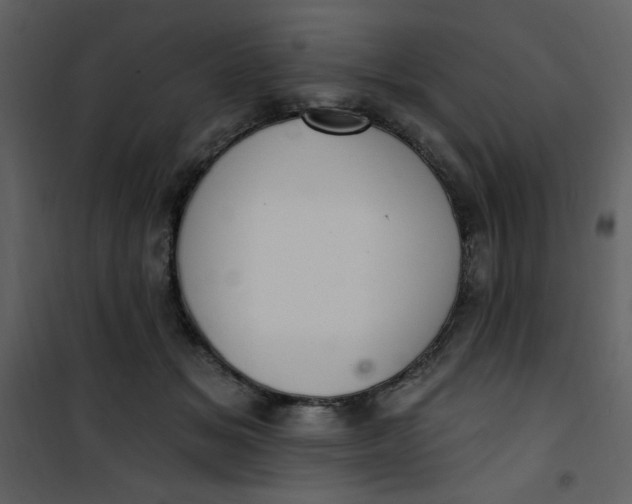 X0000101150509200807181337