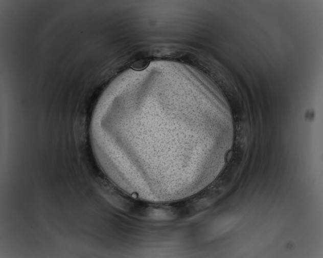 X0000101150510200807181337