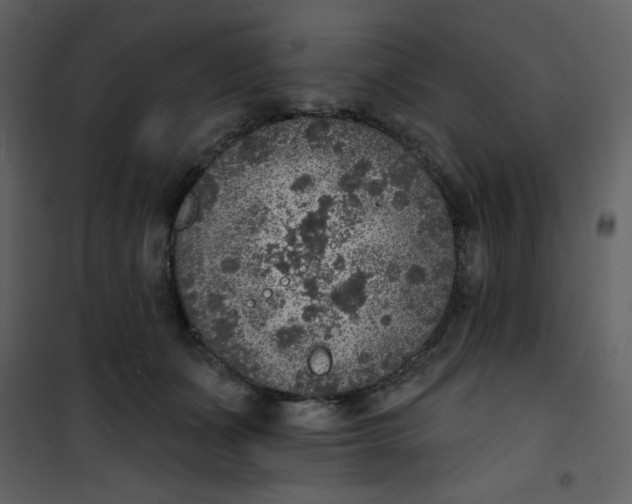 X0000101150511200807181337