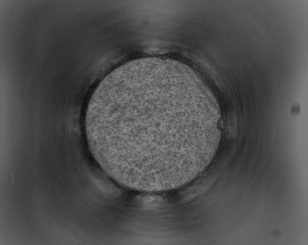 X0000101150512200807181337